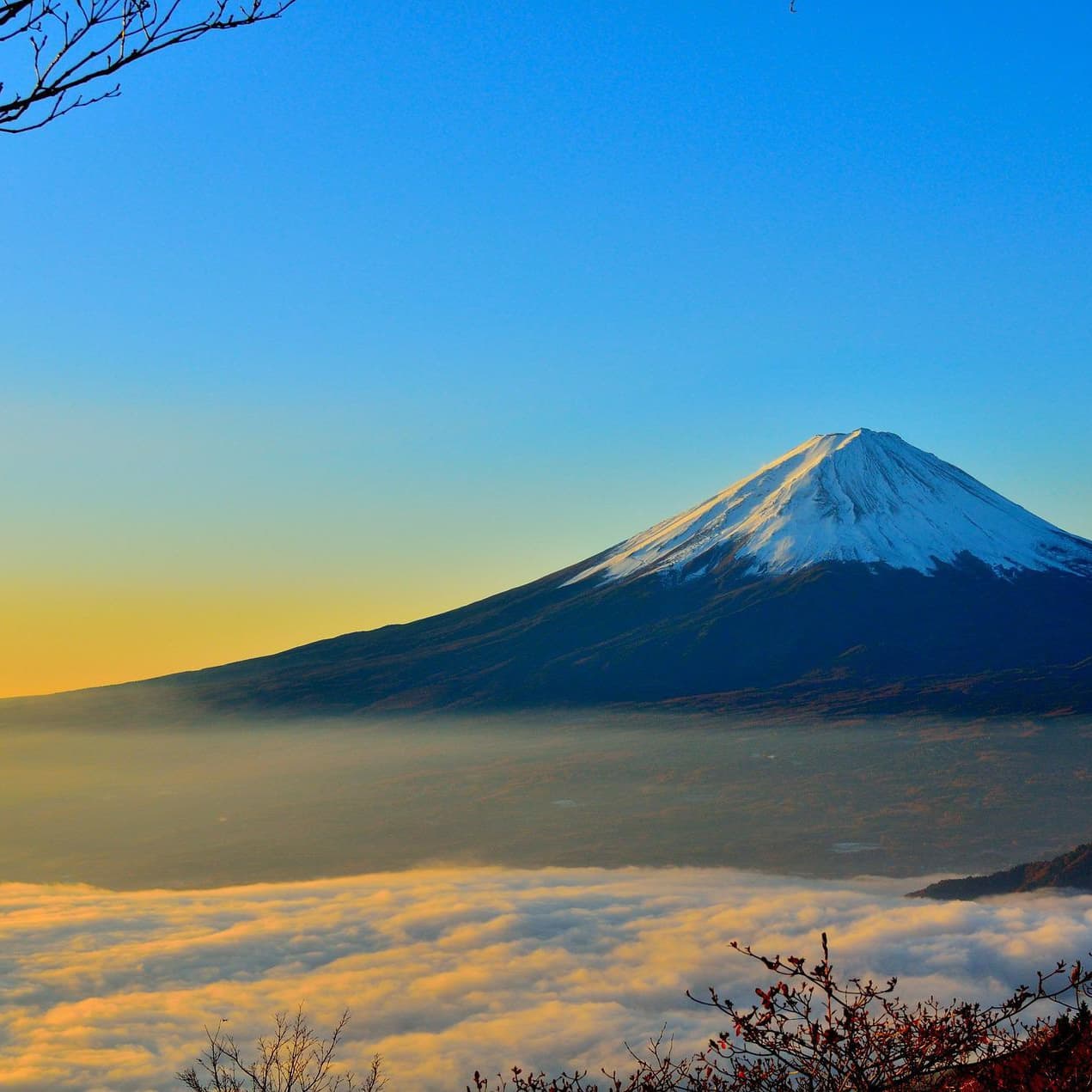 大幸ツアーのまなたび俱楽部で富士山へ行こう