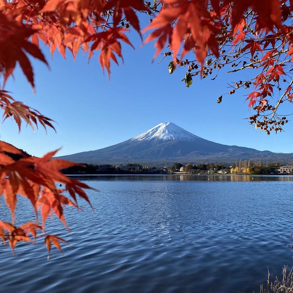 貸切バス旅行の目的地富士山