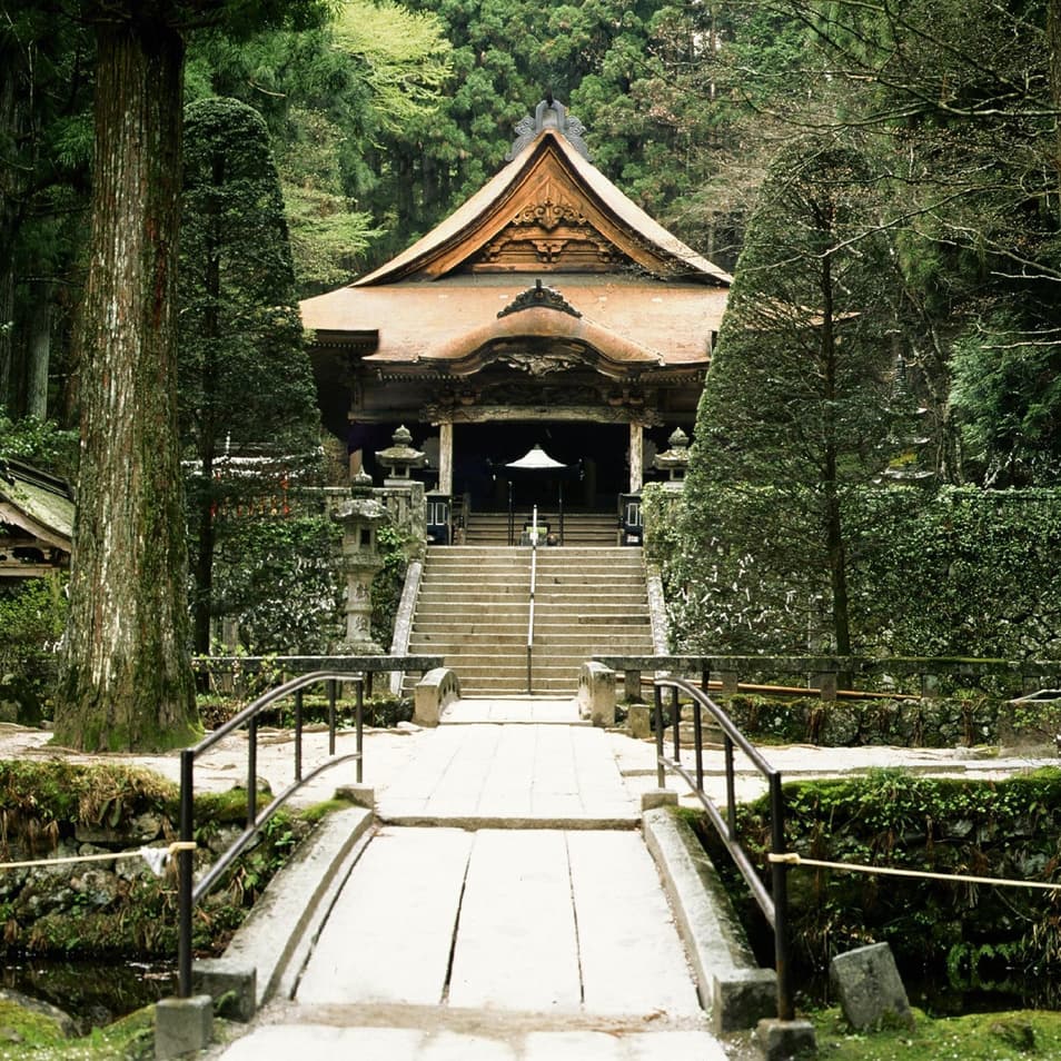 光前寺の花を愛でる貸切バス旅行