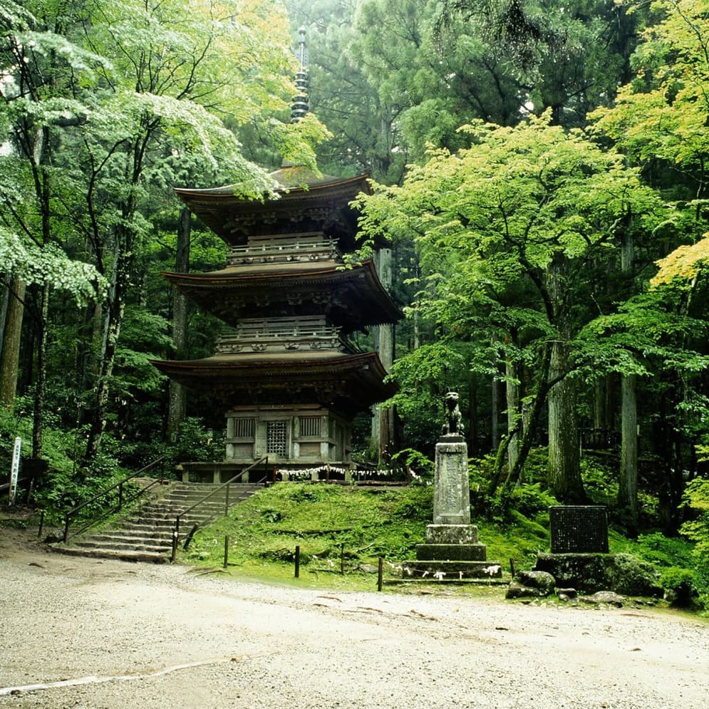 花を愛でる貸切バス旅行で光前寺